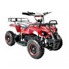 Дитячий квадроцикл SN-A51 800W