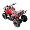 Дитячий квадроцикл SN-A51 800W, зображення 4