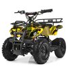 Дитячий квадроцикл Profi HB-EATV800N-13 V3, зображення 2