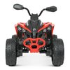 Дитячий квадроцикл Bambi M 5001EBLR-3, зображення 3