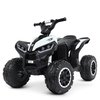 Дитячий квадроцикл Bambi M 4959EBLR-1, зображення 2