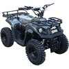 Дитячий квадроцикл електро J-Rider 1000W (Літійова батарея) Карбон