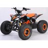 Детский квадроцикл E-FOX-1450-7, изображение 2