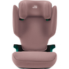 Автокресло BRITAX-ROMER DISCOVERY PLUS Dusty Rose, изображение 3