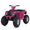 Дитячий квадроцикл Bambi M 6060EL-8(24V), зображення 2
