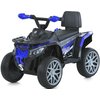 Дитячий квадроцикл Bambi M 6125EBLR-4