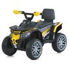 Дитячий квадроцикл Bambi M 6125EBLR-6