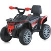 Дитячий квадроцикл Bambi M 6125EBLR-3