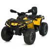 Детский квадроцикл Bambi M 6080EL-6(24V), изображение 2