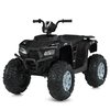 Дитячий квадроцикл Bambi M 6060EL-2(24V), зображення 2