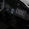 Крупний план: мультимедійна панель та кнопки керування Bambi M 6111EBLRS-2(24V)