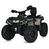 Дитячий квадроцикл Bambi M 6080EL-13(24V)