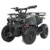 Детский квадроцикл Profi HB-ATV800AS-19