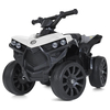 Детский квадроцикл Bambi M 5054EL-1