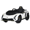Детский электромобиль Lamborghini M 5100EBLR-1