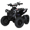 Дитячий квадроцикл Profi E-XBW-1200-2(MP3)