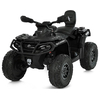 Детский квадроцикл Bambi M 6080EL-2(24V)