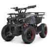 Детский квадроцикл Profi HB-ATV800AS-2