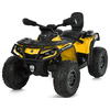 Дитячий квадроцикл Bambi M 6080EL-6(24V)