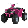Дитячий квадроцикл Bambi M 6060EL-8(24V)