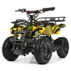 Детский квадроцикл PROFI HB-EATV800N-13 (Электро, с MP3 плеером)