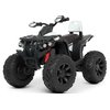 Детский квадроцикл Bambi M 4795EBLR-1