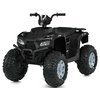 Дитячий квадроцикл Bambi M 6060EL-2(24V)