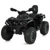 Дитячий квадроцикл Bambi M 6080EL-2(24V)