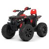 Дитячий квадроцикл Bambi M 4795EBLR-3