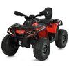 Дитячий квадроцикл Bambi M 6080EL-3(24V)