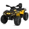 Дитячий квадроцикл Bambi M 6080EL-6(24V)