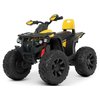 Дитячий квадроцикл Bambi M 4795EBLR-6