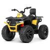 Детский квадроцикл Bambi M 4624EBLR-2-6(24V)