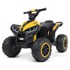 Дитячий квадроцикл Bambi M 4959EBLR-6