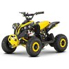 Детский квадроцикл Profi HB-EATV1000Q-6S