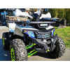 Квадроцикл Spark SP125-8 Белый, изображение 9