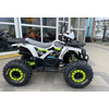 Квадроцикл Spark SP125-9 Белый, изображение 3