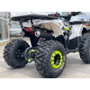 Квадроцикл Spark SP125-9 Белый, изображение 4