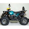 Квадроцикл Forte ATV125P Жовто-блакитний, зображення 3