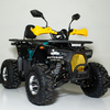 Квадроцикл Forte ATV125P Жовто-блакитний, зображення 15