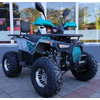 Квадроцикл Forte ATV125P Серо-голубой, изображение 40