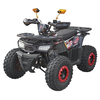 Квадроцикл Spark SP125-7 Черный, изображение 2