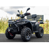 Квадроцикл Linhai LH300-D EFI ProMax Серый, изображение 3