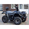 Квадроцикл Linhai LH300-D ProMax Черный, изображение 3