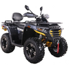 Квадроцикл SharX 300 Графитовый