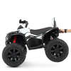 Детский квадроцикл Bambi M 4795EBLR-1, изображение 5