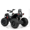 Детский квадроцикл Bambi M 4795EBLR-1, изображение 6