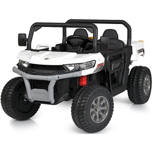 Дитячий електромобіль Вантажівка Bambi M 5026EBLR-1(24V)