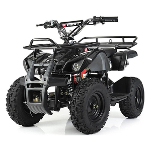 Дитячий квадроцикл Profi HB-EATV800N-19 V3