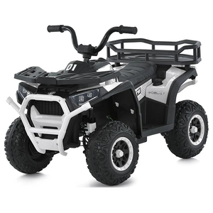 Дитячий квадроцикл Bambi M 6127EBLR-1(24V)